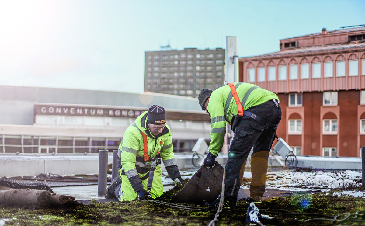 Grabbar På Taket Lr